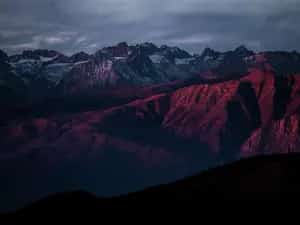 Munsiyari Snow Trail