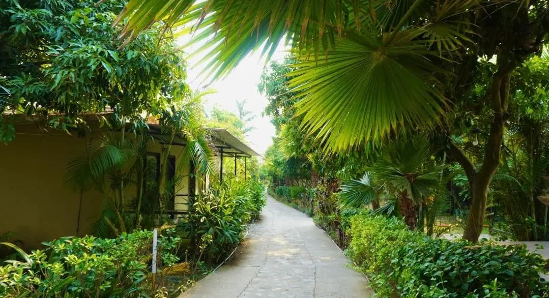 Corbett Tigers n Trees - Exterior View
