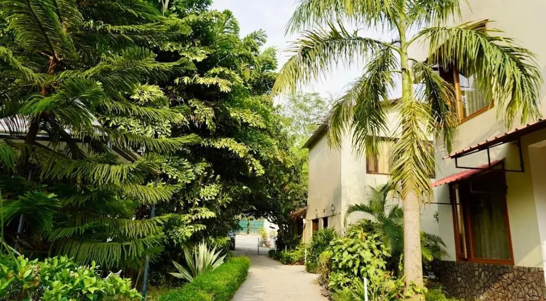 Corbett Tigers n Trees - Dining & Amenities
