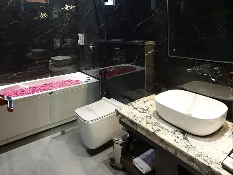 Luxury Suite - View 3