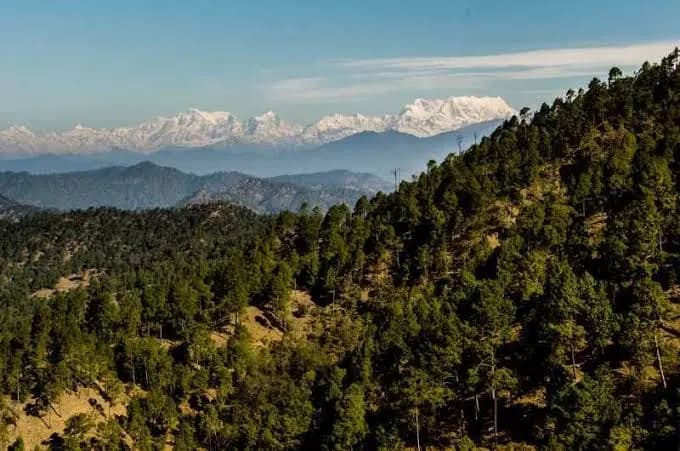 Zero Point Binsar - Places to Visit in Almora - Gola Holidays - Slide 3