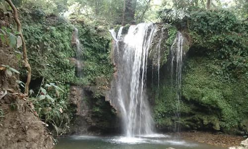 Corbett Waterfall - Places to Visit in Jim Corbett National Park - Gola Holidays - Slide 2