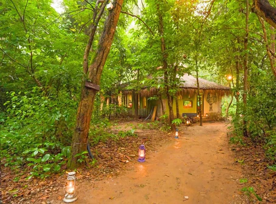 Patlidun Lodge Resort - Balcony View & Stay highlights - Gola Holidays