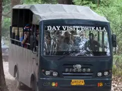 Dhikala Landscape Image 2