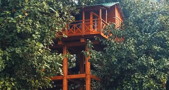 Phanto Tree Houses