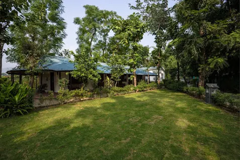 Ashoka Tiger Trail - Gallery Photo 3