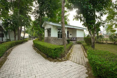 Ashoka Tiger Trail - Photo 5