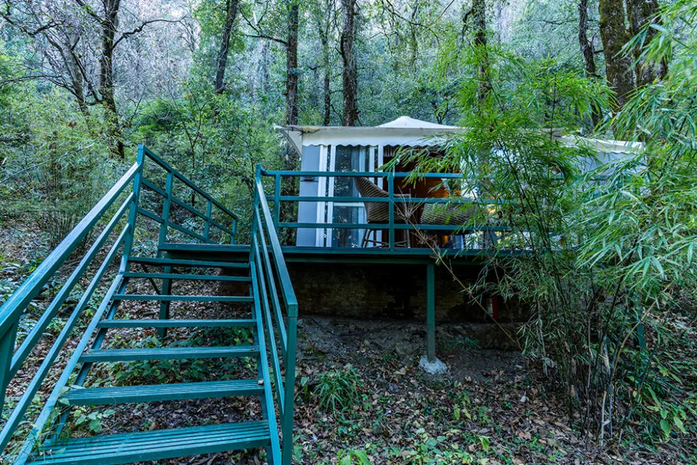2-Bedroom Family Tent - View 5