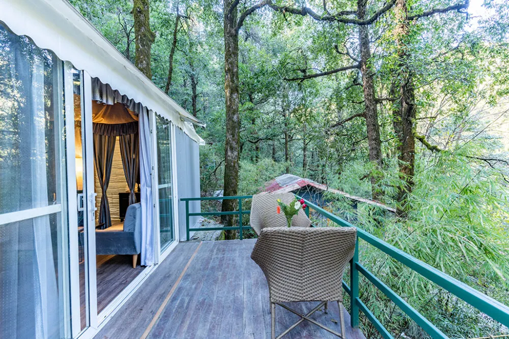 Luxury Tent - View 4