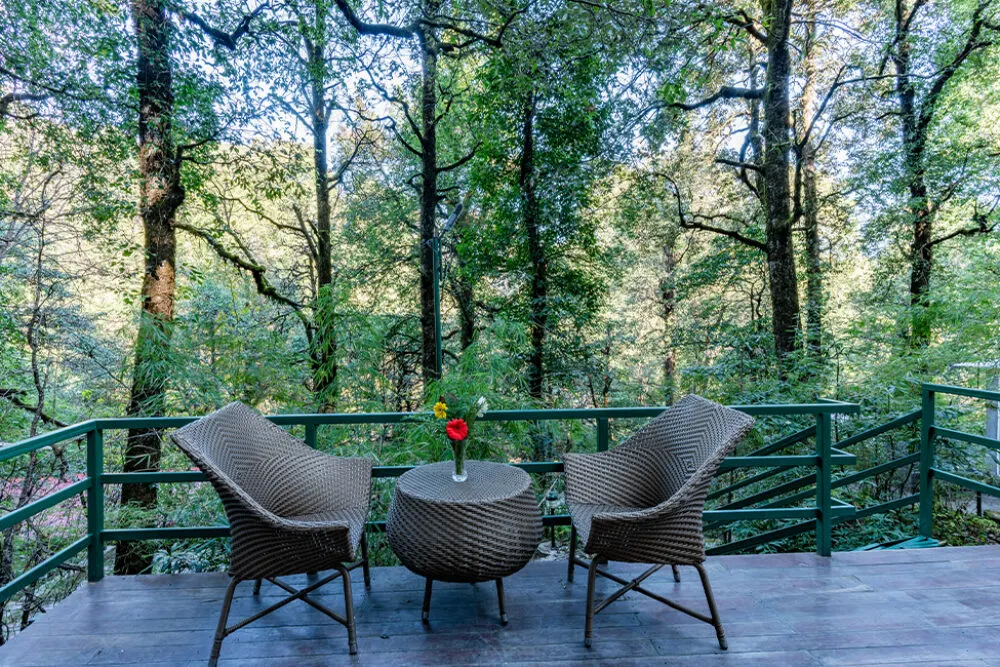 Luxury Tent - View 5
