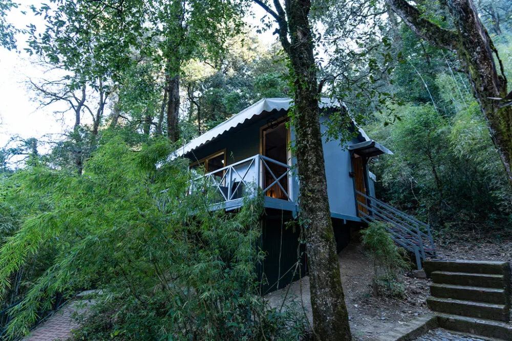 Machaan TreeHouse – Tent - View 4