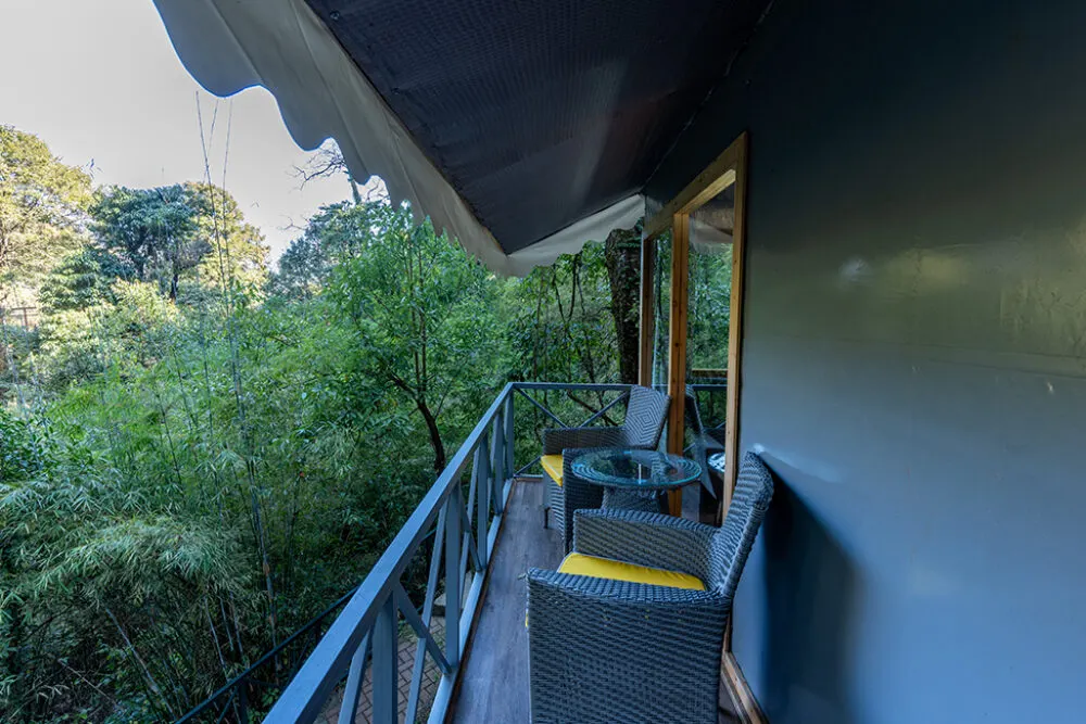 Machaan TreeHouse – Tent - View 5