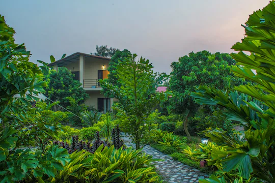 Corbett Tigers n Trees - Gallery Photo 3