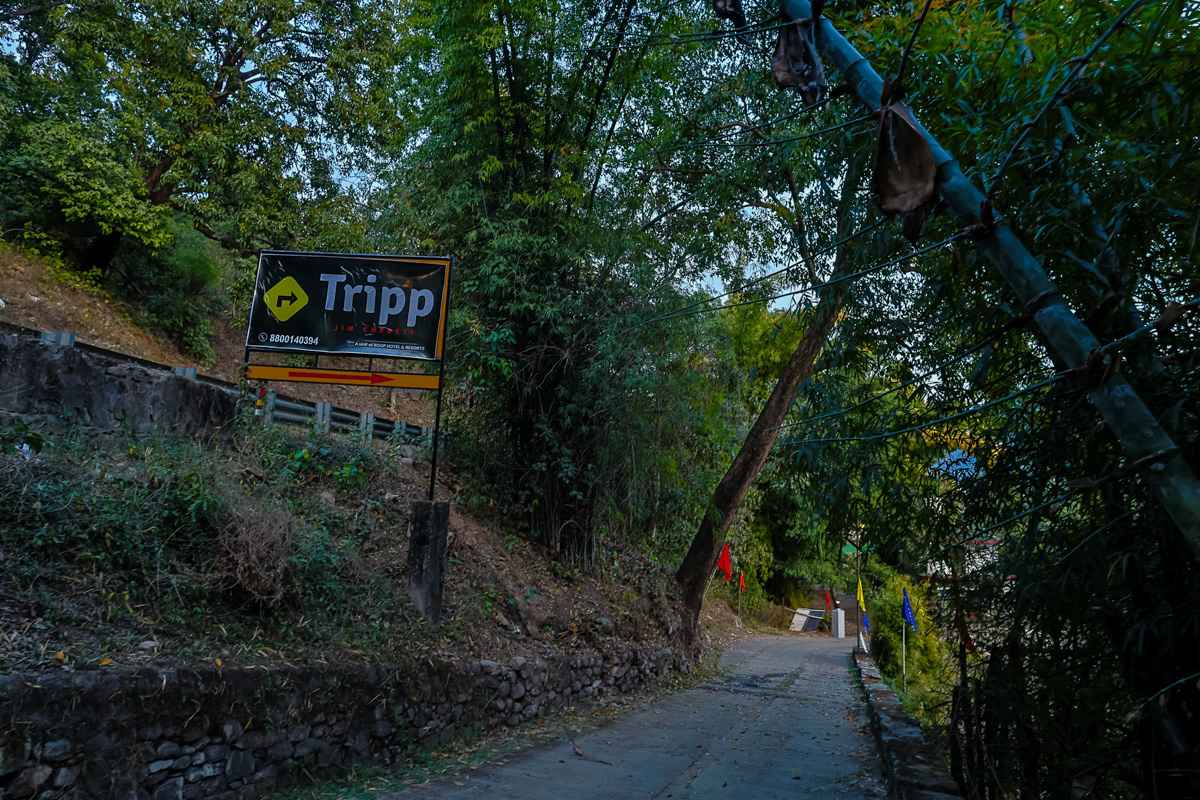 Tripp Jim Corbett - Gallery Photo 2