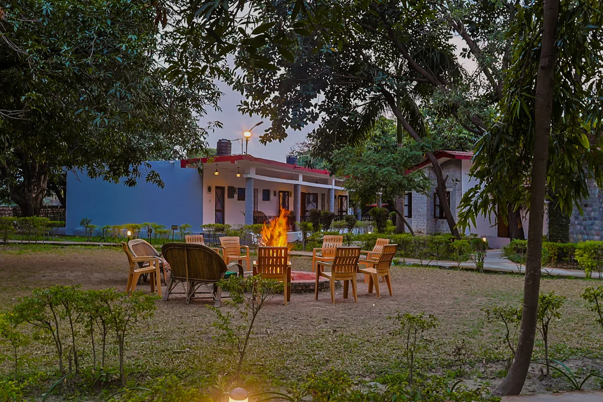 Forest House - View 7