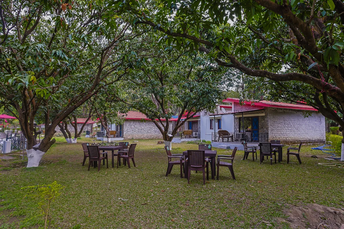 Premium  Forest Pool Villa - View 6