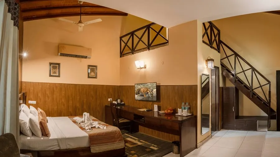 Leopard Duplex - View 2