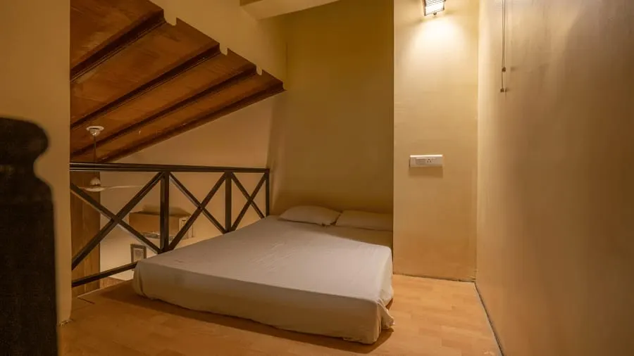 Leopard Duplex - View 3