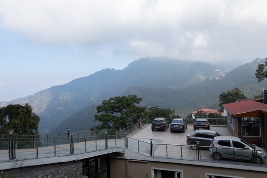 Hotel Wild Wood - Gallery Photo 2