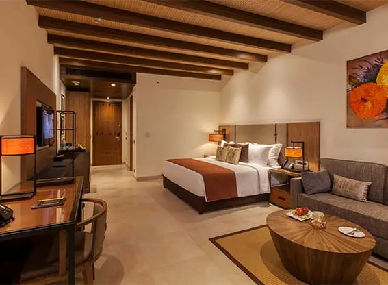 Deluxe Room - View 1