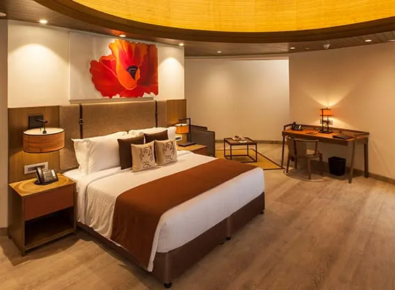 Premiere Room - View 1