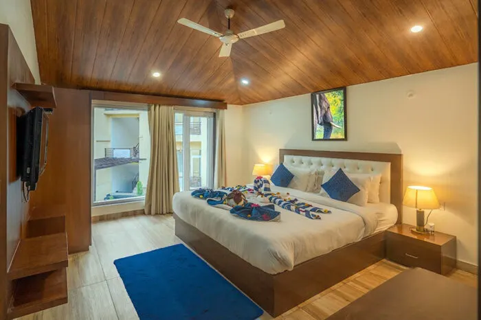The Palm Suite - View 1