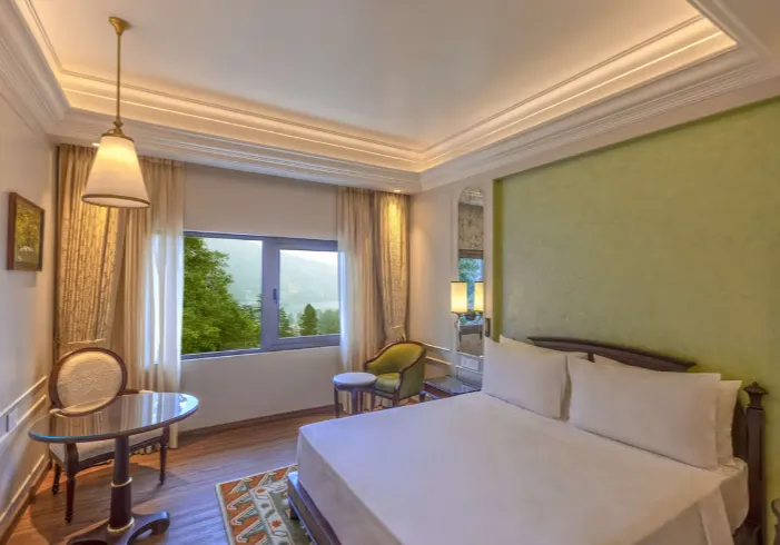 Superior Room – Valley View - View 1