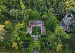 Palms Grove Resort & Spa Corbett - Gallery Photo 3