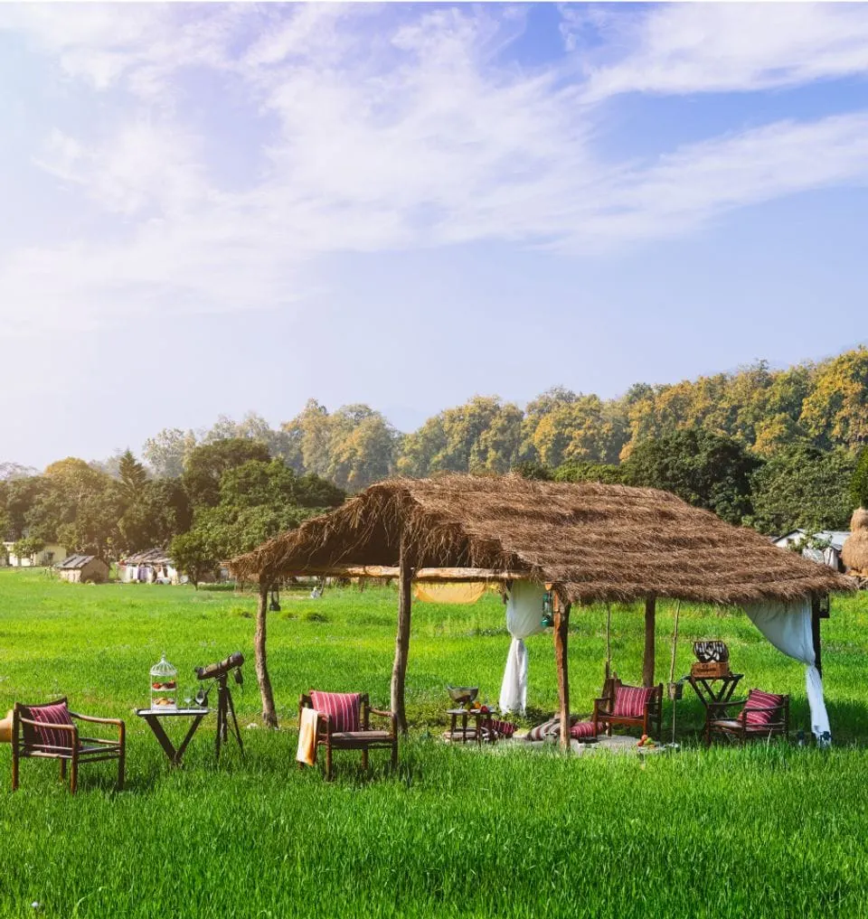 The Taj Corbett - Gallery Photo 2