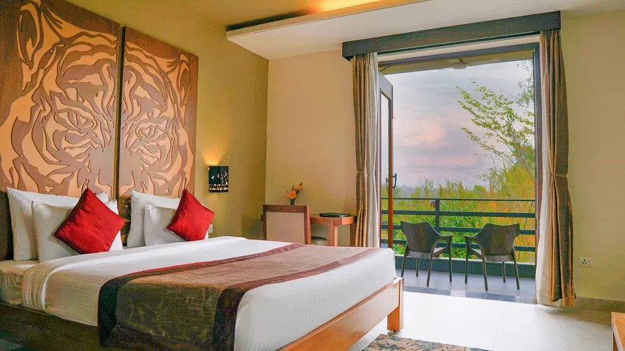Tiger Suite - View 2