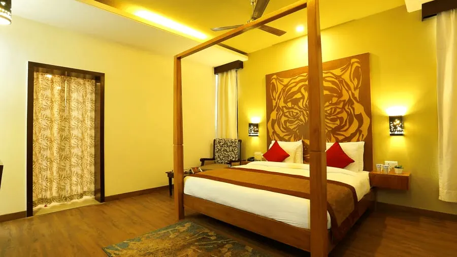 Tiger Suite - View 1