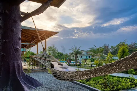 Tree House - View 2