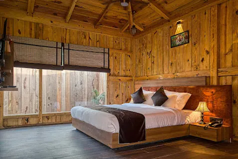 Tree House - View 4