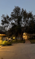 Welcomheritage Tarangi - Photo 5