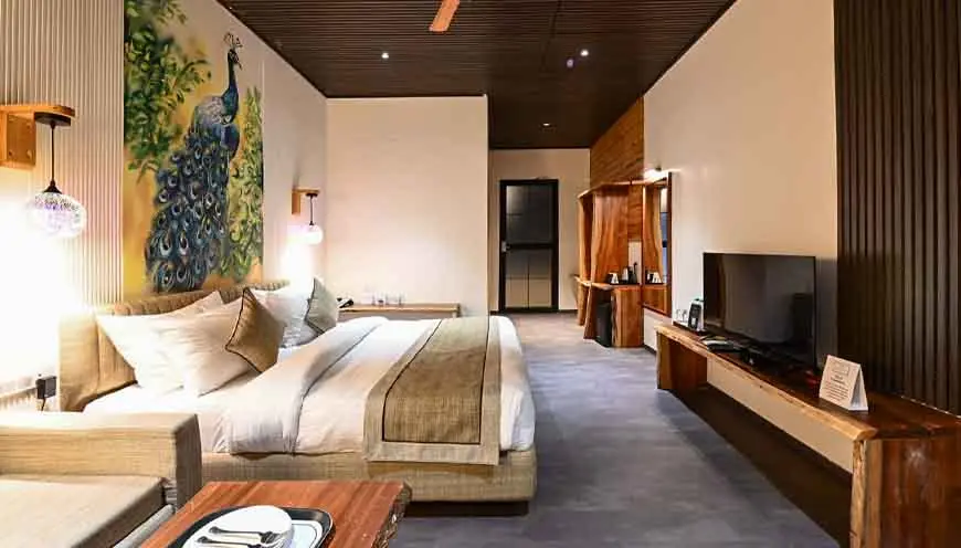SUPERIOR ROOM - View 1
