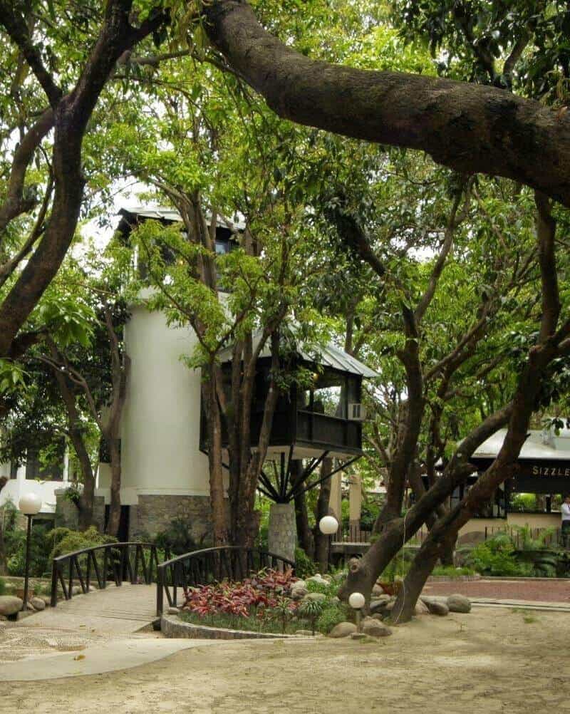 The TREE HOUSE - View 1