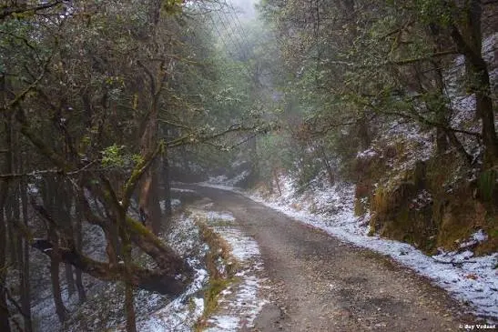 Binsar Wildlife Sanctuary - Places to Visit in Almora - Gola Holidays - Slide 3