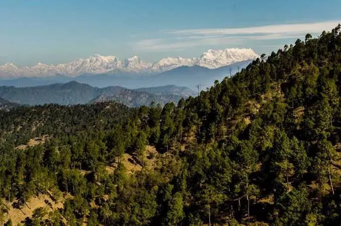Zero Point Binsar - Places to Visit in Almora - Gola Holidays - Slide 3