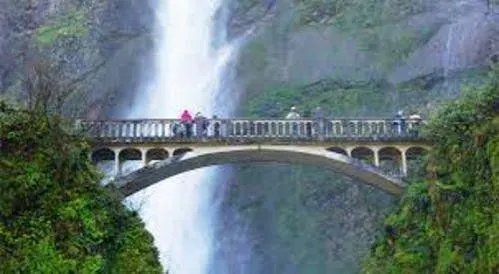 Corbett Waterfall - Tourist Attraction in Jim Corbett National Park - Gola Holidays
