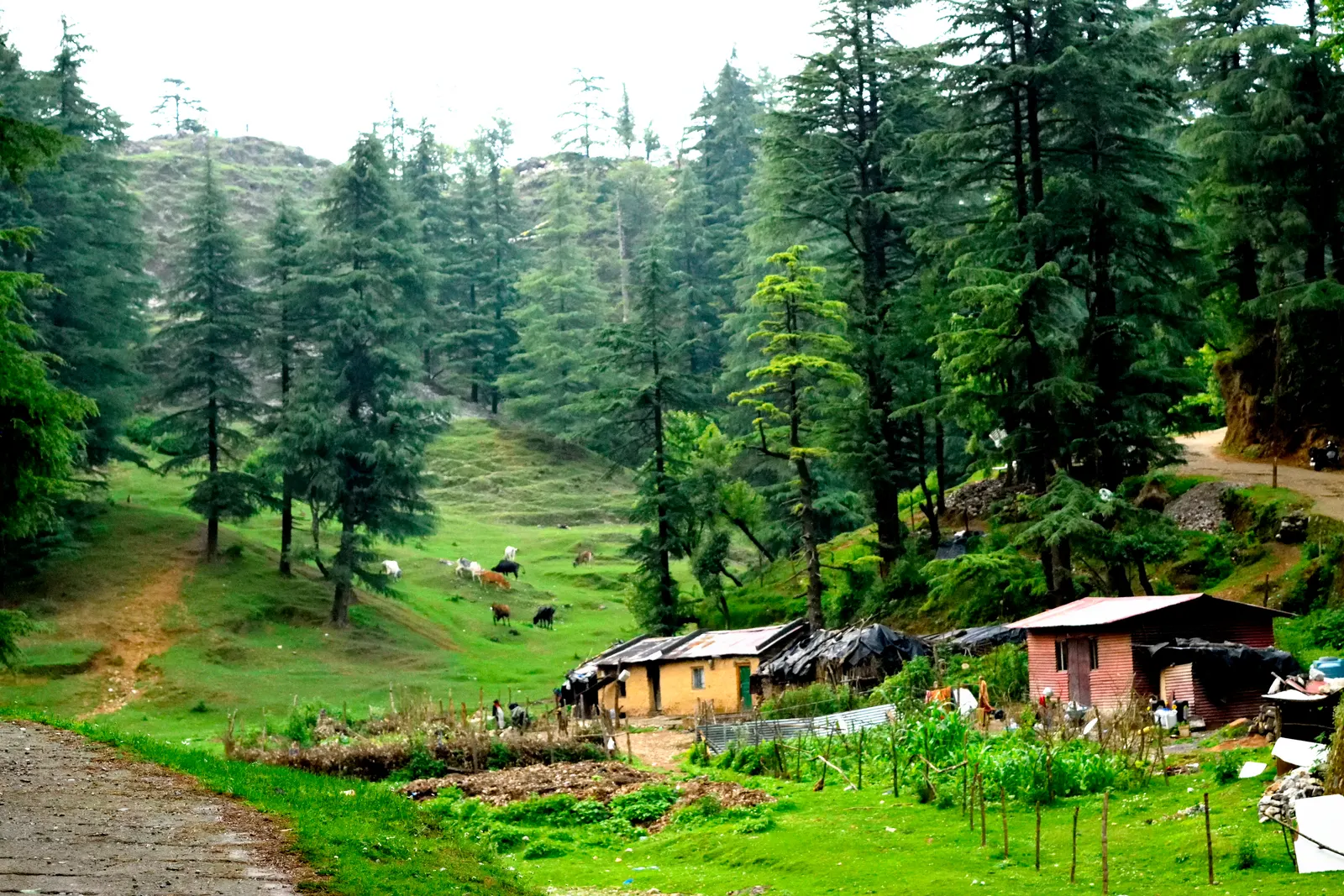Hathipaon Trekking Route - Places to Visit in Mussoorie - Gola Holidays - Slide 4