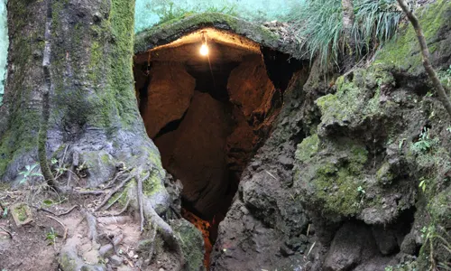Eco Cave Park - Tourist Attraction in Nainital - Gola Holidays