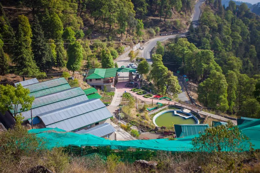 High Altitude Zoo - Tourist Attraction in Nainital - Gola Holidays