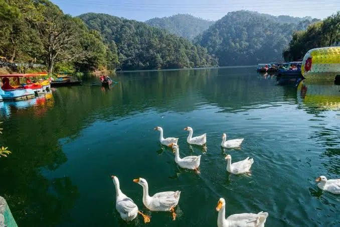 Naukuchiyatal Lake - Tourist Attraction in Nainital - Gola Holidays