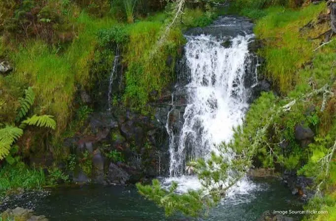 Woodland Waterfall - Places to Visit in Nainital - Gola Holidays - Slide 2