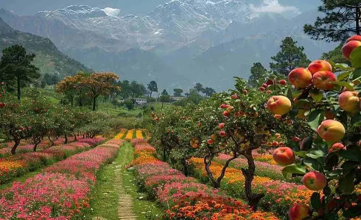 Apple Garden - Tourist Attraction in Ranikhet - Gola Holidays