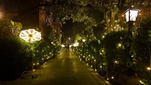 Maulik Mansion Resort — photo 4